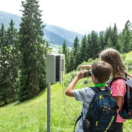 Ameron Swiss Mountain 4*