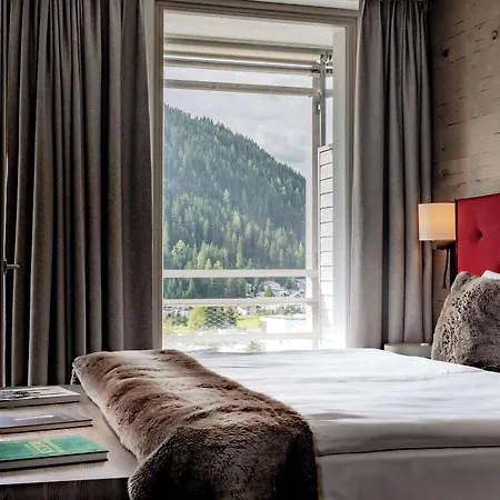 Ameron Swiss Mountain